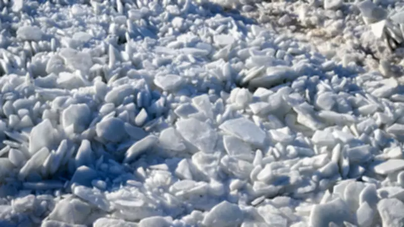 Tragédia no Texas: Três irmãos morrem após caírem em lago congelado durante tempestade de inverno
