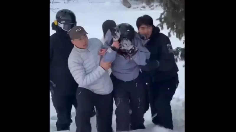Turista é atacada por leopardo-das-neves na China após se aproximar para fotos