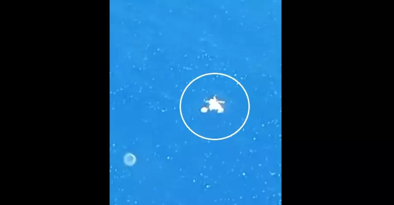 Táxi aéreo faz pouso forçado em praia da Região dos Lagos; vítimas resgatadas