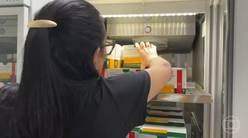 Vacinação contra dengue avança em 3 cidades: 74,7% de eficácia