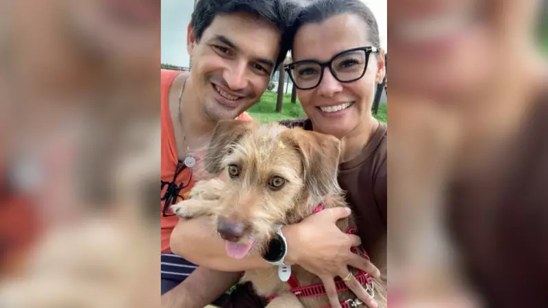 Vira-lata caramelo é adotada por casal após seguir ciclistas por 3 km em Araçatuba