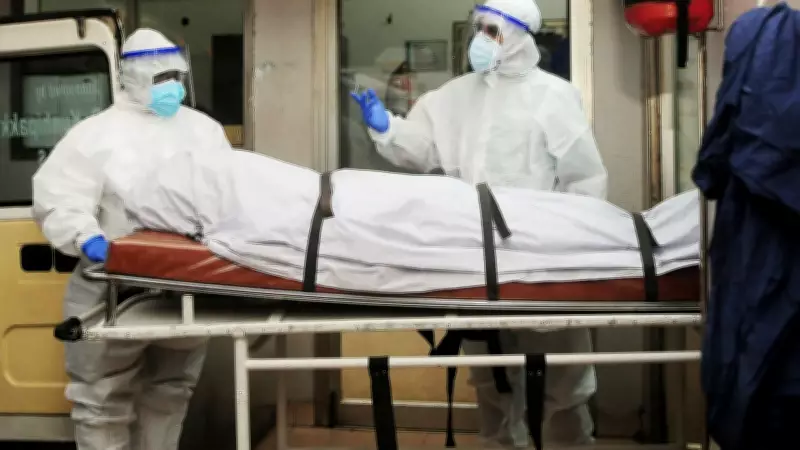 Vírus Nipah: alta letalidade e ausência de vacina preocupam após novos casos na Índia