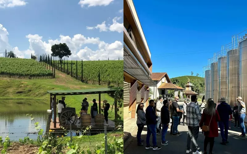 Vulcão extinto em MG impulsiona turismo gastronômico com cafés e vinhos premiados