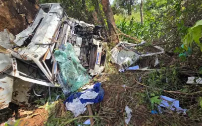 Caminhão carregado com 6 toneladas de carne despenca de ponte em Buritizal, SP
