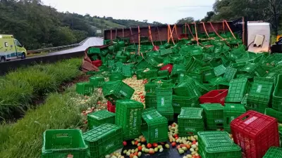 Caminhão carregado de tomates tomba na BR-050 e interdita pista no Triângulo Mineiro
