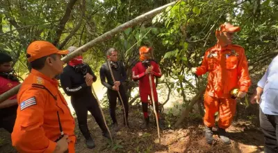 Cães farejadores confirmam: crianças desaparecidas estiveram juntas na mata