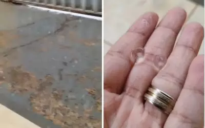 Chuva de granizo atinge Goiânia: 39 mm de chuva e árvore cai sobre carro