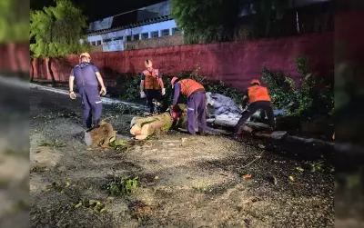Chuva forte causa estragos e deixa 8 desalojados em Jaú (SP)