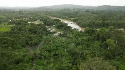 Desmatamento cai no Cerrado e Amazônia em 2025, mas desafio continua