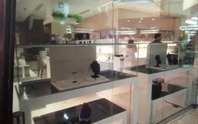 Furto de R$ 12 milhões em joalheria de SP termina com prisão em ônibus na BR-050