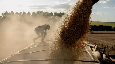 Glifosato expulsa povos do Baixo Tapajós com 'sufocamento', revela pesquisa da USP