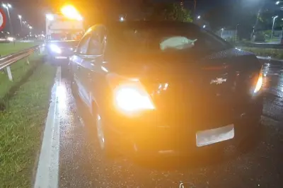 Homem não identificado morre atropelado na Rodovia Padre Manoel da Nóbrega, em Mongaguá