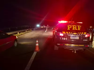 Idoso de 76 anos morre atropelado ao parar para fazer xixi na BR-369, no Paraná