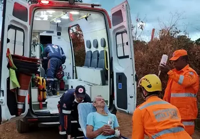 Mais de 100 picadas: homem atacado por enxame em Três Corações