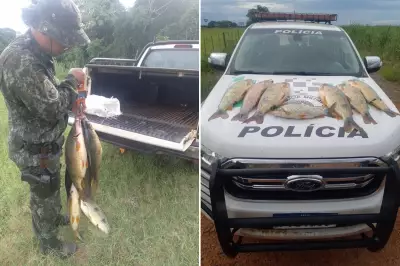 Multa de R$ 1,5 mil por pesca ilegal de piapara e piauçu durante Piracema em SP