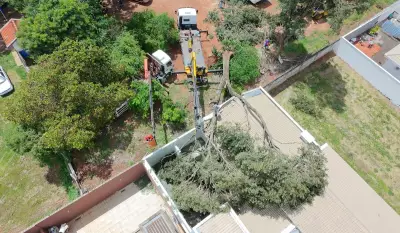 Osvaldo Cruz decreta emergência após temporal com 1.297 raios e ventos de 60 km/h