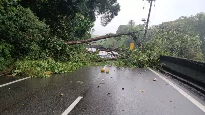 Queda de árvore interditou a Rodovia Anchieta e causou 6 km de congestionamento