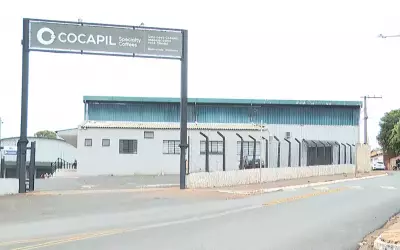 Sumiço de 21 mil sacas de café causa prejuízo de R$ 132 mi a produtores de Ibiraci