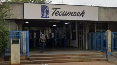 Tecumseh oferece 18 vagas de emprego e estágio em São Carlos (SP)