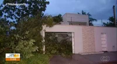 Temporal assusta Palmas: 30 minutos de ventania causam destruição na Arso 151