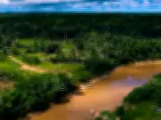 Acre registra menor desmatamento em 11 anos em Unidades de Conservação, aponta Imazon