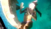 Advogada paulista é mordida por tubarão em mergulho em Fernando de Noronha