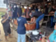 Agente de saúde indígena morre após árvore cair sobre canoa no Acre