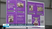 Ananindeua registra 37 casos e 3 mortes por doença de Chagas em 2026