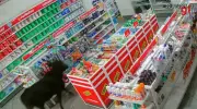Bezerro invade farmácia em MG, derruba produtos e é espantado por cliente
