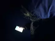 ByteDance, dona do TikTok, fecha acordo extrajudicial em processo histórico sobre vício em redes sociais