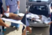 Cadela comunitária é esfaqueada em Praia Grande e passa por cirurgia