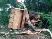 Caminhão de lixo da Prefeitura de Manhumirim tomba na MG-108 e deixa três servidores feridos