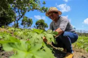 Capacitação Técnica Fortalece Agricultores Familiares na Região Metropolitana de Manaus
