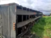 Carreta com gado tomba na MG-050 em Divinópolis e mata motorista de 28 anos