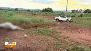 Carro colide com boi na BR-242 e mata dois homens no Tocantins