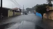 Chuva intensa causa alagamentos e queda de árvores em São José dos Campos