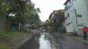 Chuvas intensas em BH causam queda de árvores e postes, com risco geológico em cinco regionais