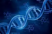 Google DeepMind lança AlphaGenome: IA revolucionária para prever doenças a partir do DNA
