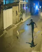 Homem mata cachorro a tiros em Magé após reclamar de latidos