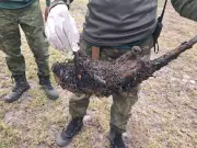 Incêndio criminoso mata animais silvestres em área protegida de Arraial do Cabo, RJ