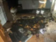 Incêndio em Barbacena deixa mulher em estado grave e mobiliza resgate de animais