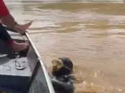 Indígena Ashaninka desaparece no Rio Tejo após acidente com canoa no Acre