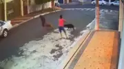 Menino de 8 anos tem couro cabeludo arrancado em ataque de pit bulls em Santa Gertrudes
