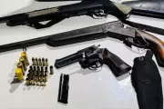 Motorista preso por atirar em cachorro e portar armas ilegais em MT