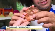 Pais cegos sentem rosto do bebê na barriga com impressão 3D de ultrassom no Rio