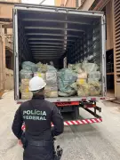 PF incinera 8 toneladas de drogas apreendidas em Minas Gerais em 2025