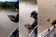 Polícia Ambiental multa pescador e apreende 40 kg de peixes em operação no Rio Aguapeí, em Lucélia