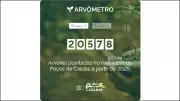 Poços de Caldas lança Arvômetro para monitorar plantio de árvores com transparência
