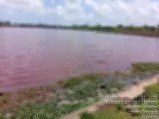 Prefeitura de João Pessoa notifica Cagepa e Sudema por poluição em lagoa do Parque Três Lagoas