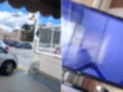 Sagui pega carona de elevador e surpreende moradores em prédio de Campinas